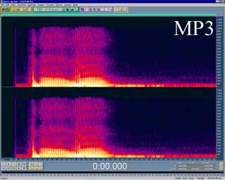 Mp3. Figura.2 - Il brano di fig.1 compresso in formato MP3, notate l'introduzione di rumore da parte dell'algoritmo.
