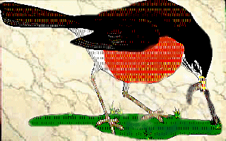 uccello.gif (36052 byte)