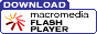 Vai al sito del Flash!