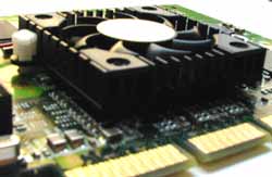elsa_ventola.jpg (6879 byte)