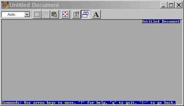   Schermata di Lynx che mostra index.html  