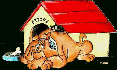 Entrate pure...tranquilli!