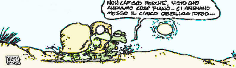 Rughe-tarta 2