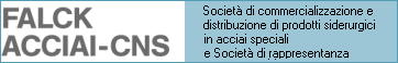 Società di commercializzazione e distribuzione di prodotti siderurgici in acciai speciali e Società di rappresentanza