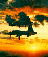 aerei14.gif (3398 byte)