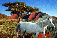 Foto1.gif (2944 byte)
