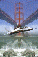 Foto11.gif (2745 byte)