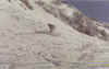 fabiettopowder1.jpg (20718 byte)