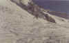 fabiettopowder2.jpg (21270 byte)