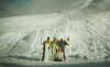 gruppo2.jpg (28136 byte)