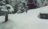 foskypowder3.jpg (23598 byte)