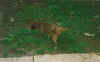 riky1.jpg (22740 byte)