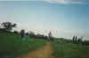 Saltocr87.jpg