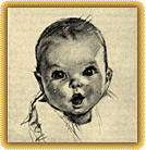 Gerber Baby food & accessories