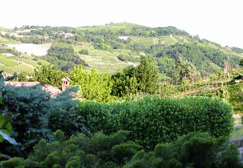 Collina di Canneto Pavese