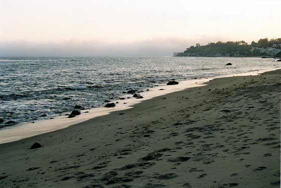 Spiaggia sull'Oceano Pacifico