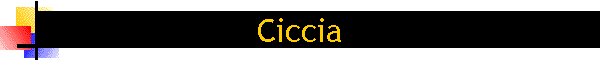 Ciccia