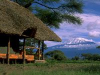 kilimanjaro.1jpg.jpg (9351 bytes)