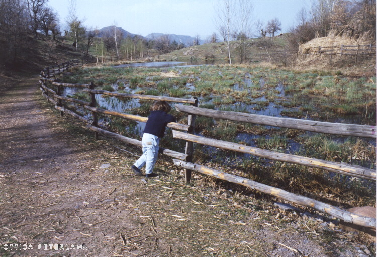 Biotopo di Egna