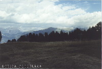 Catinaccio / Val di Fassa