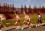 F_corsa1.jpg (11103 byte)