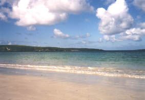 ft17.jpg (8384 bytes)