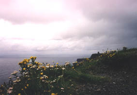 ft25.jpg (7655 bytes)