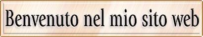 Benvenuto nel mio sito web.