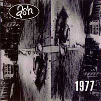 "1977" degli Ash