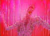 Image2.jpg (8002 byte)
