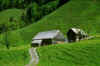 0612054l.JPG (58365 byte)