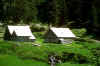 0612113l.JPG (49480 byte)
