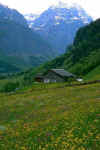 1116043l.JPG (48099 byte)