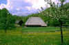2065017l.JPG (58810 byte)