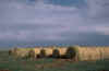 P003A031.JPG (44056 byte)