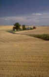 P003A041.JPG (53291 byte)
