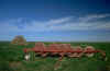 P003B104.JPG (53691 byte)