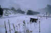 P007B098.JPG (60573 byte)