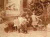 Samp022.JPG (221127 byte)
