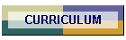 CURRICULUM