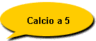 Calcio a 5