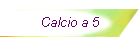 Calcio a 5