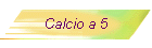 Calcio a 5