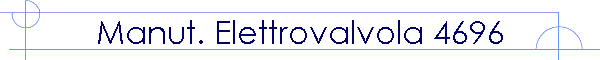 Manut. Elettrovalvola 4696