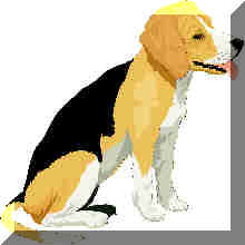 BEAGLE.JPG (4525 byte)