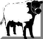 wpe4.jpg (3752 byte)