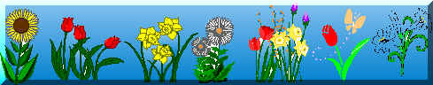 fiori.jpg (54035 byte)