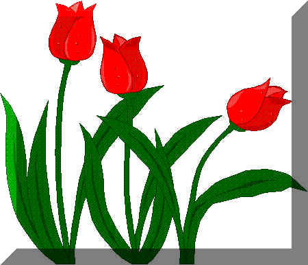 fiori2.wmf (63798 byte)