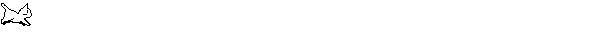 gatto.gif (5362 byte)