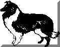 wpe1.jpg (2967 byte)